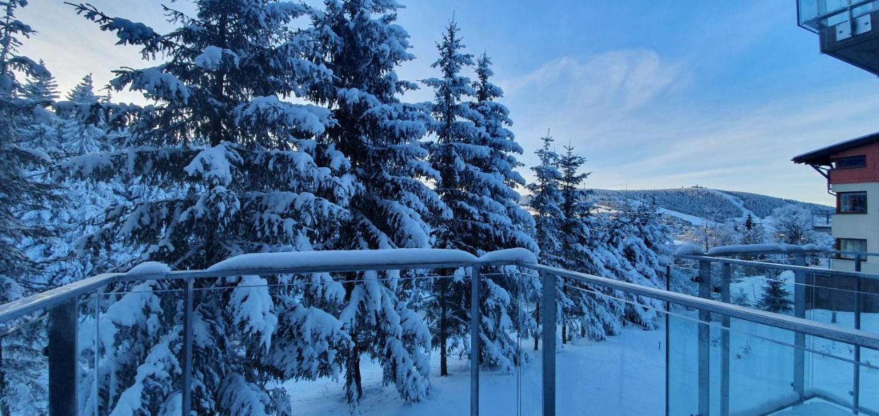 Apartman Nerudovka D 104, Finska Sauna, Garazove Stani Loučná pod Klínovcem Buitenkant foto