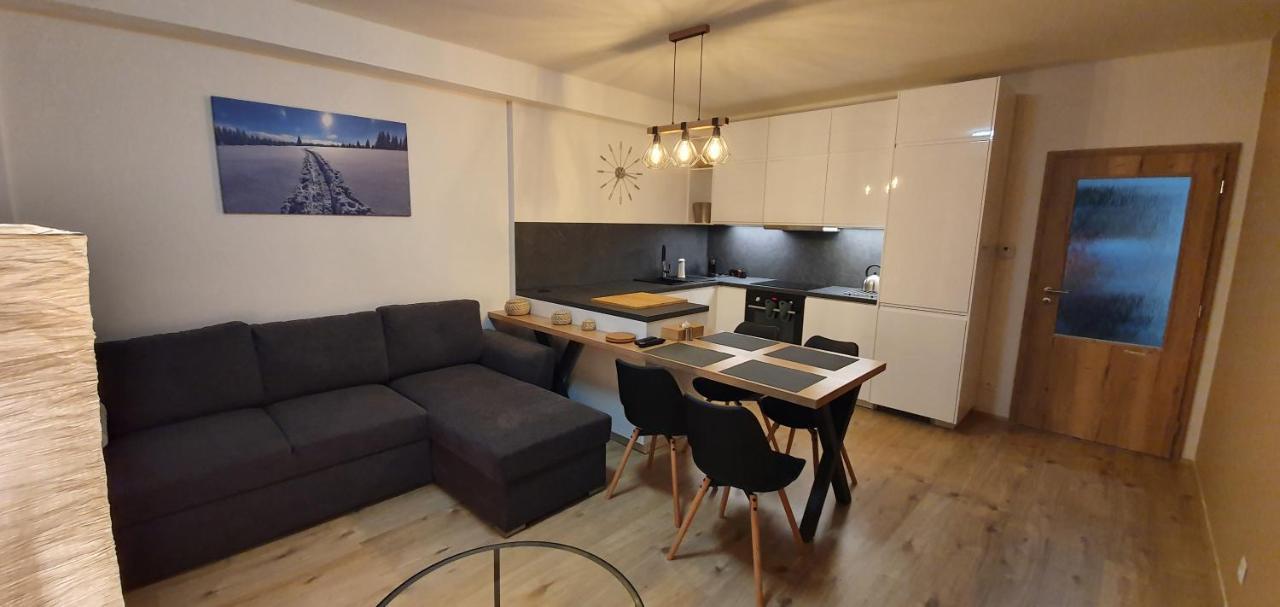 Apartman Nerudovka D 104, Finska Sauna, Garazove Stani Loučná pod Klínovcem Buitenkant foto