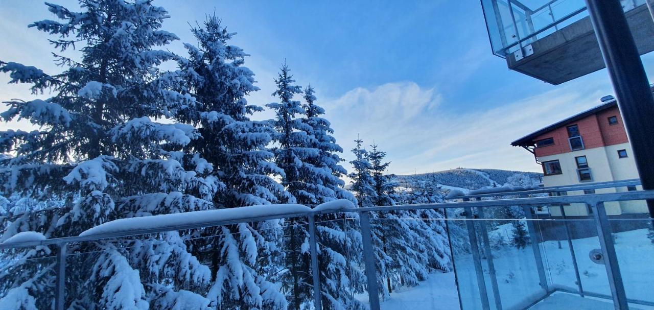 Apartman Nerudovka D 104, Finska Sauna, Garazove Stani Loučná pod Klínovcem Buitenkant foto