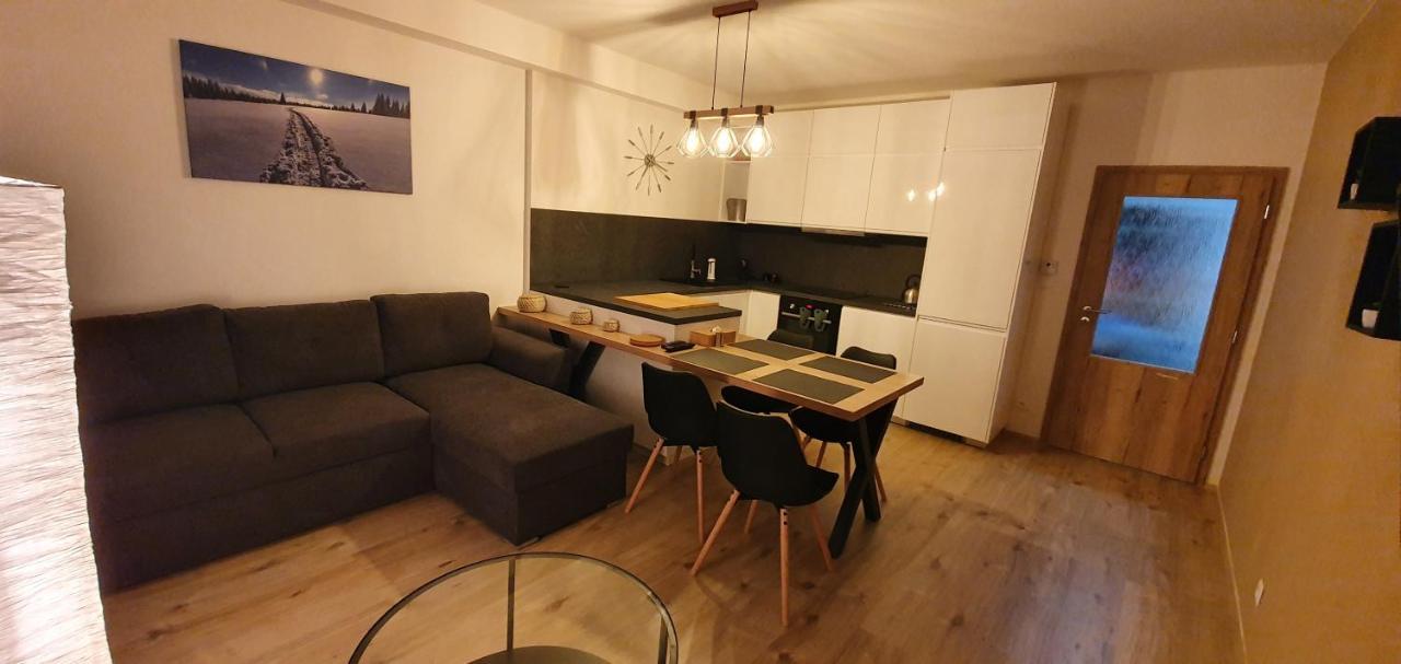 Apartman Nerudovka D 104, Finska Sauna, Garazove Stani Loučná pod Klínovcem Buitenkant foto
