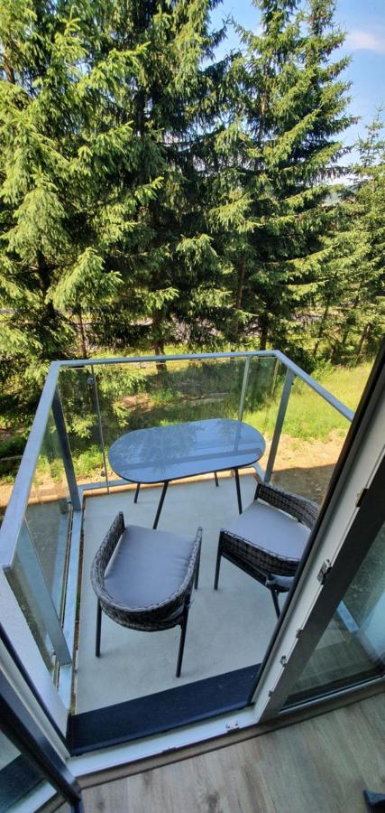 Apartman Nerudovka D 104, Finska Sauna, Garazove Stani Loučná pod Klínovcem Buitenkant foto