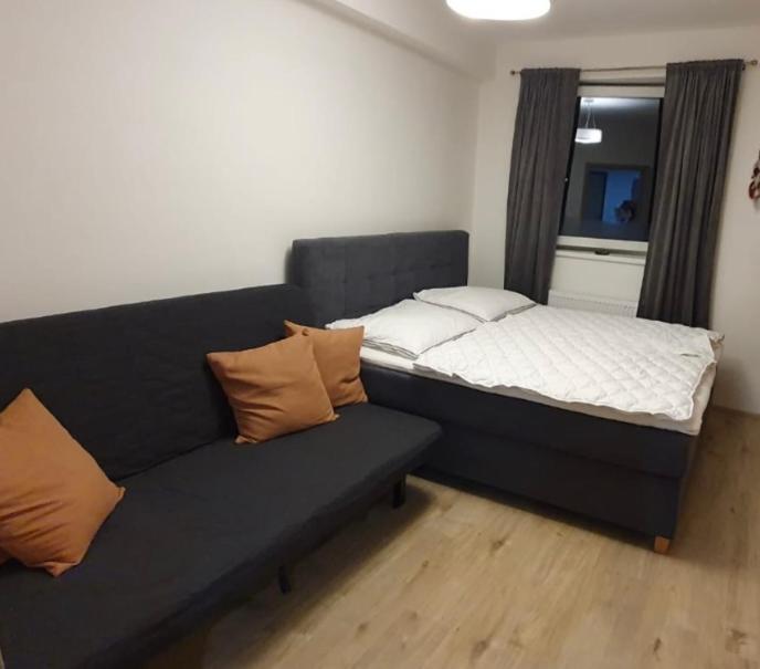 Apartman Nerudovka D 104, Finska Sauna, Garazove Stani Loučná pod Klínovcem Buitenkant foto